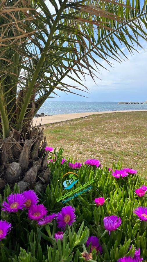 Lakokocsik A Tengerparton - Caravans At The Sandy Beach بريفلاكا المظهر الخارجي الصورة